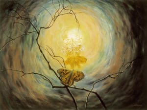transformation-joyce-huntington (004)
